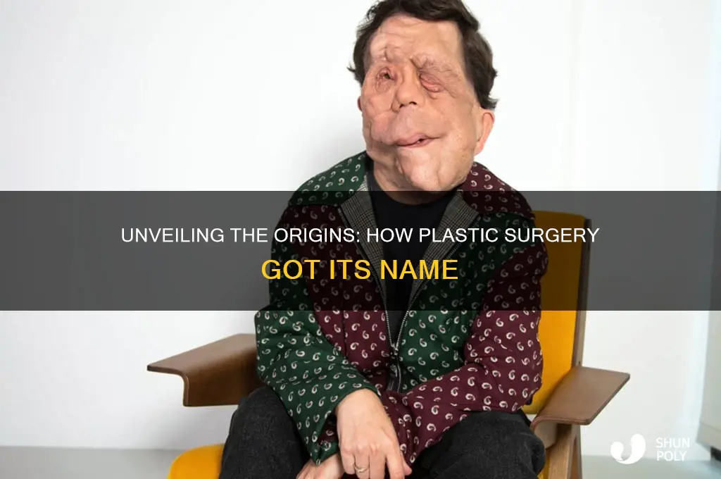 how did plastic surgery get its name