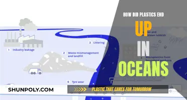 Plastic Pollution: Oceans in Peril