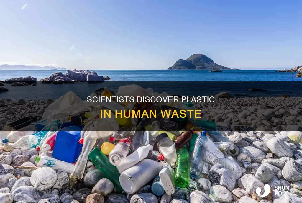 how did scientst found plastic in poop