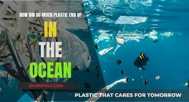 The Ocean's Plastic Crisis: How Did This Happen?