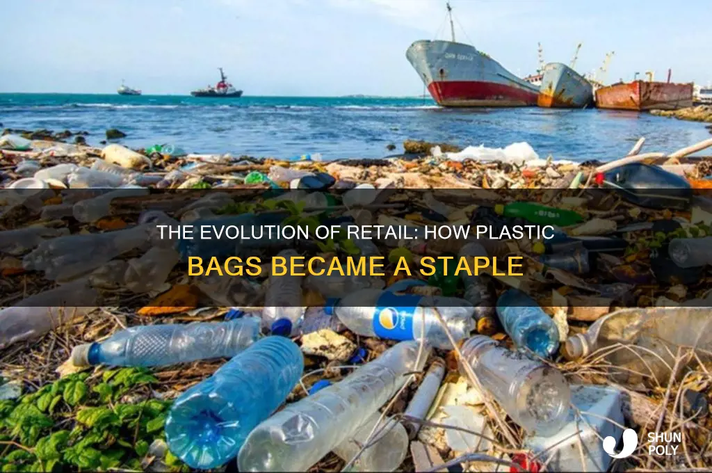 how did stores begin using plastic bags