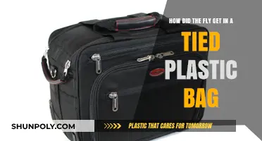 Mysterious Entry: How Did a Fly Breach a Sealed Plastic Bag?