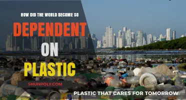 From Convenience to Crisis: The Plastic Dependency Dilemma