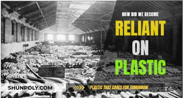Plastic's Journey: From Miracle to Menace