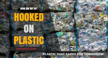 From Convenience to Crisis: Our Unbreakable Addiction to Plastic Explained