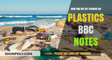 Hooked on Plastics: Tracing Our Addiction and Its Global Impact
