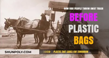 Pre-Plastic Waste Disposal: How Did People Manage Trash Historically?