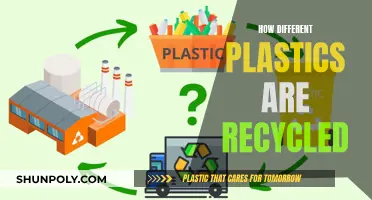 Recycling Revolution: Unveiling the Process of Plastic Transformation