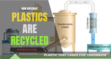 The Complexities of Plastic Recycling: Different Types, Different Methods