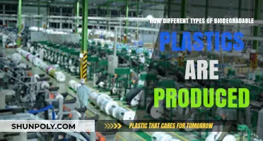 Eco-Friendly Alternatives: The Production Process of Biodegradable Plastics