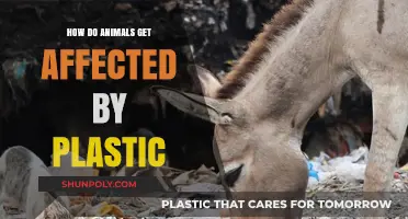 Plastic's Deadly Impact: How Wildlife Suffers from Pollution