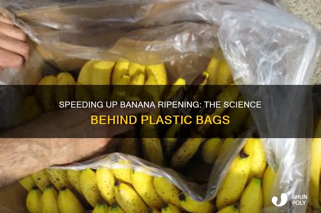 how do bananas ripen in plastic bags