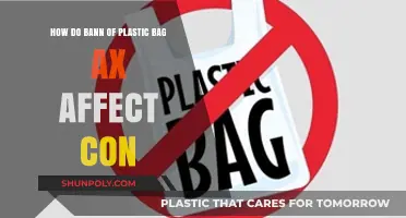 Plastic Bag Bans: Economic Impacts and Consumer Adaptation Strategies