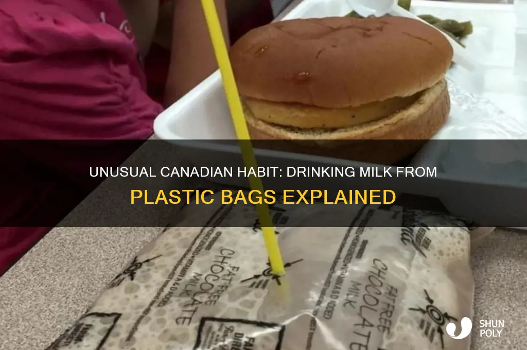 how do canadians drink milk from plastic bag