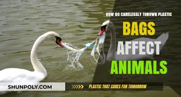 Deadly Plastic Peril: How Carelessly Discarded Bags Harm Wildlife