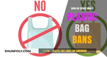 Implementing Plastic Bag Bans: Strategies for Sustainable Urban Policies