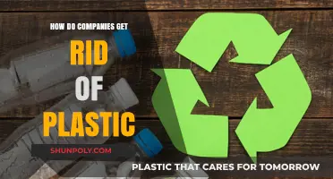Sustainable Solutions: How Companies Eliminate Plastic Waste Effectively