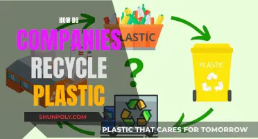 Unveiling the Secrets: How Companies Transform Plastic Waste into New Life