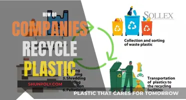 Innovative Recycling: Companies' Plastic Waste Solutions