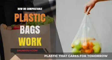 Understanding Compostable Plastic Bags: Function, Benefits, and Environmental Impact