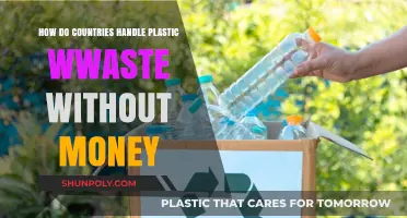 Innovative Strategies: Managing Plastic Waste on a Shoestring Budget