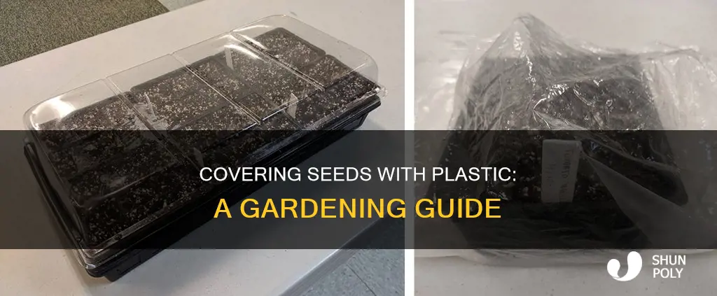 how do cover seeds with plastic