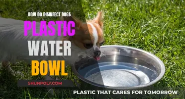 Clean Your Dog's Water Bowl: A Step-by-Step Guide