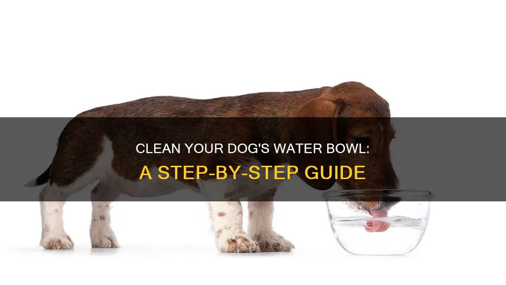 how do disinfect dogs plastic water bowl