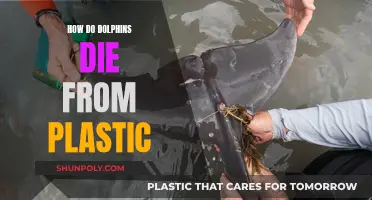 Dolphin Deaths: Plastic's Lethal Impact