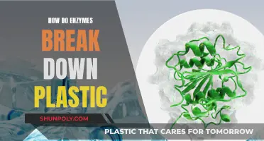 Enzymes' Power to Degrade Plastics