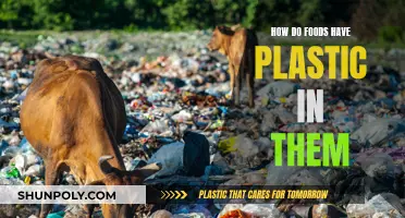 Plastic in Food: How and Why?
