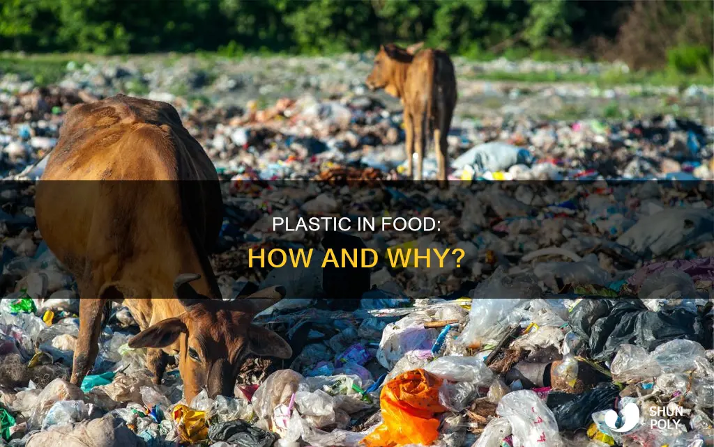 how do foods have plastic in them