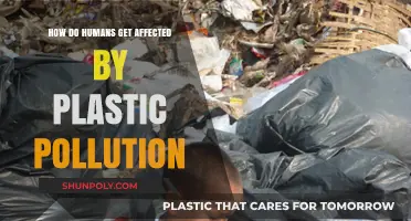 Plastic Pollution's Impact: How It Harms Human Health and Environment