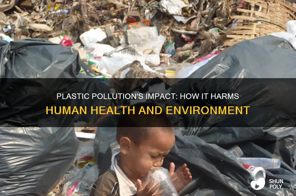 how do humans get affected by plastic pollution