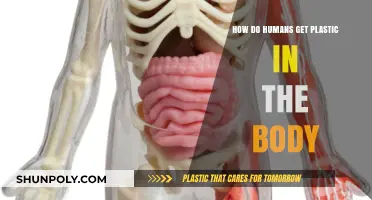 Unseen Invaders: How Plastic Enters and Affects the Human Body