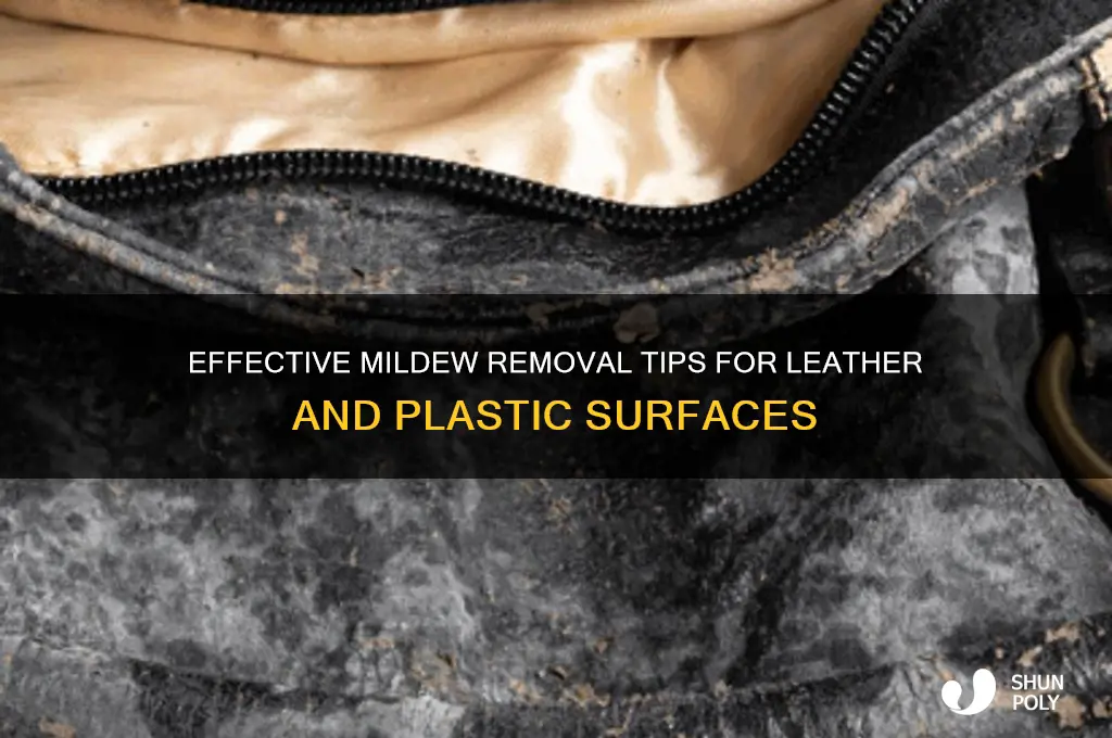 how do i clean mildew off leather or plastic