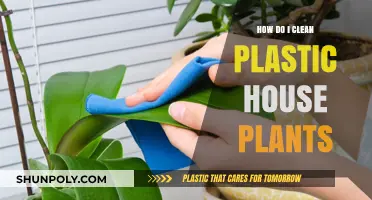 Easy Steps to Clean and Revive Your Plastic House Plants