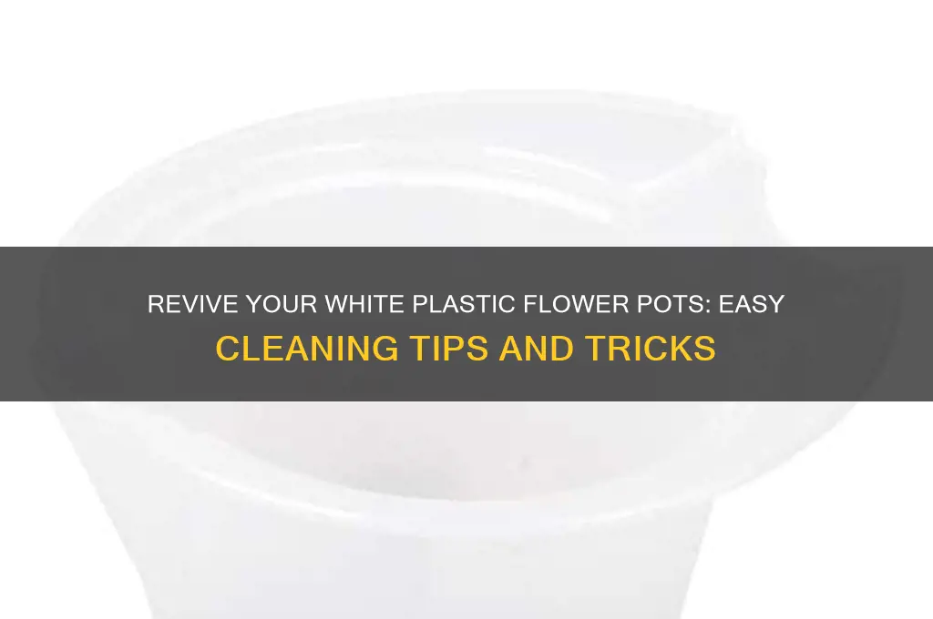how do i clean white plastic flower pots