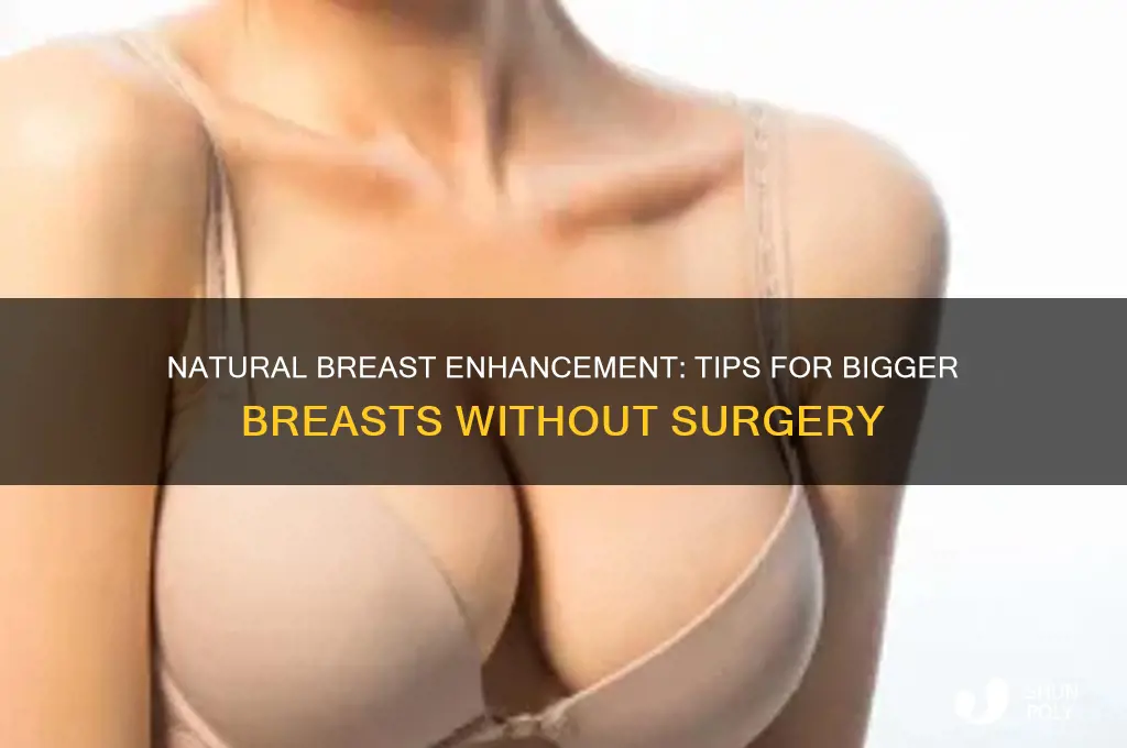 how do i get bigger breasts without plastic surgery