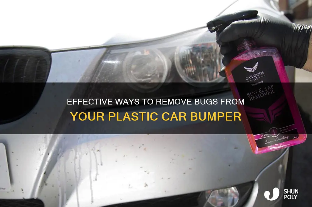 how do i get bugs off my plastic bumper