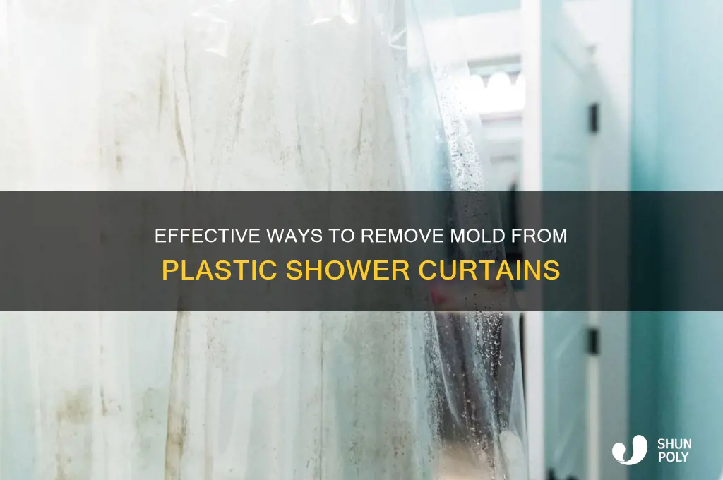 how do i get mold off a plastic shower curtain