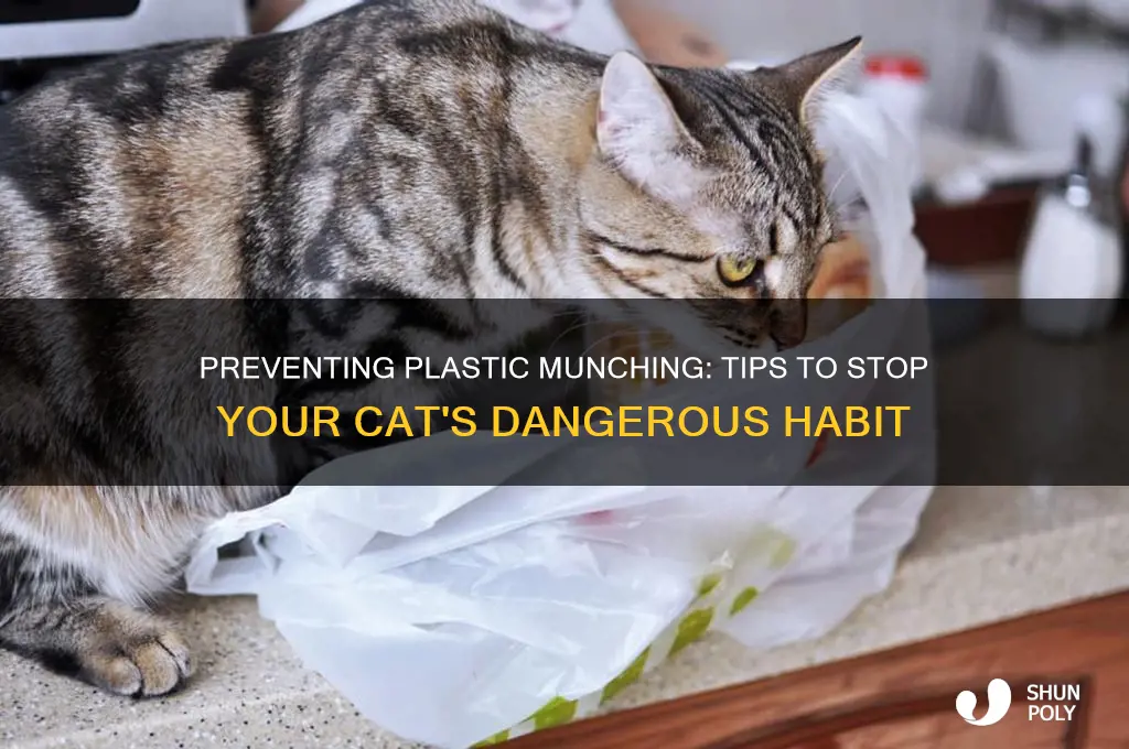 how do i get my cat to stop eating plastic