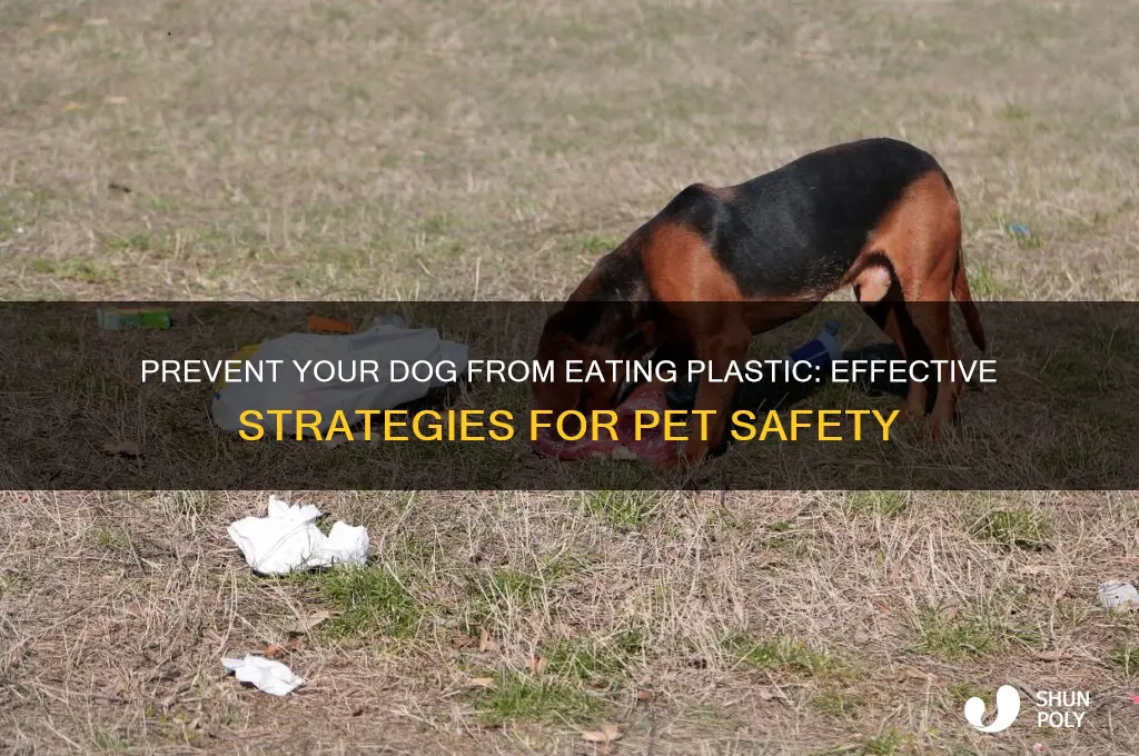 how do i get my dog to stop eating plastic