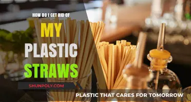 Eco-Friendly Alternatives: Ditch Plastic Straws for a Greener Lifestyle