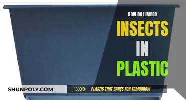 Embedding Insects: A Guide to Insect Preservation in Plastic