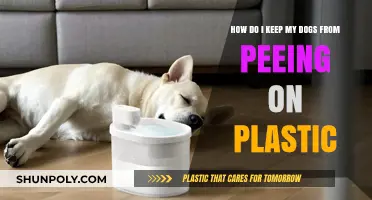 Preventing Your Dogs from Peeing on Plastic: A Practical Guide