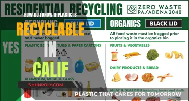 Unraveling California's Plastic Recycling Mystery: A Guide to Knowing What Works