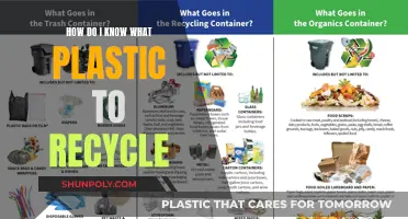 Unraveling the Plastic Recycling Mystery: A Guide to Sorting Your Waste