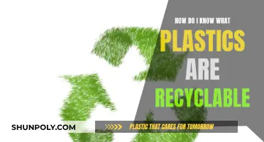 Identifying Recyclable Plastics: What You Need to Know