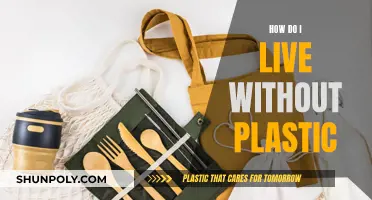 Living Plastic-Free: A Guide to Reducing Your Plastic Waste